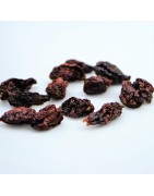 Satvik world Hottest Chilli Bhut Jolokia Chilli Dried (Whole) Ghost Pepper Chilli 25g, Pungency 4,50,000 SHU from India